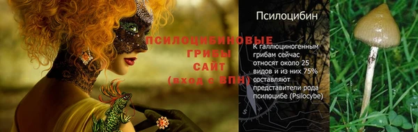 круглые Алексеевка
