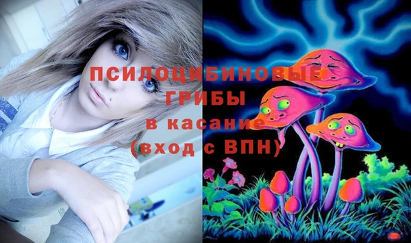 шишки Абинск