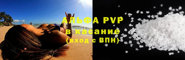 индика Сафоново
