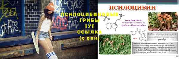 шишки Абинск