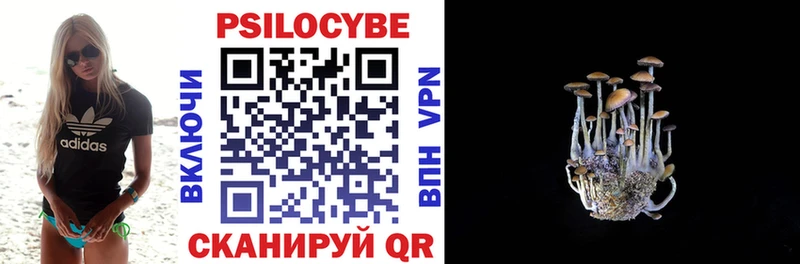 Галлюциногенные грибы Psilocybine cubensis  блэк спрут как зайти  Енисейск 